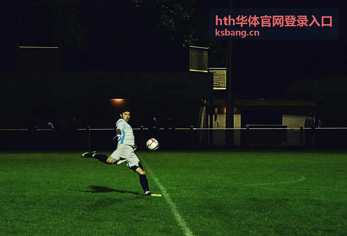 hth华体官网登录入口页面示意与操作区域说明